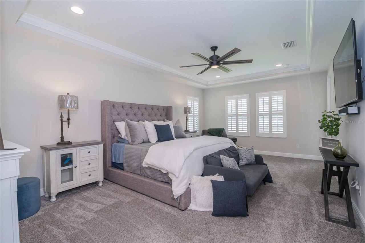8687 Birchleaf Court Court , Land O Lakes, FL 34637 Photo
