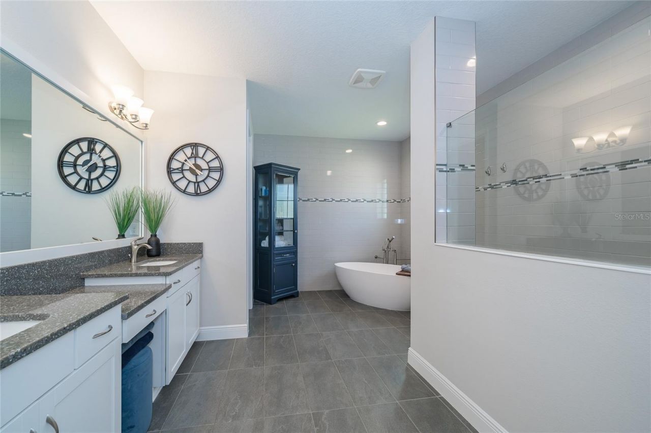 8687 Birchleaf Court Court , Land O Lakes, FL 34637 Photo