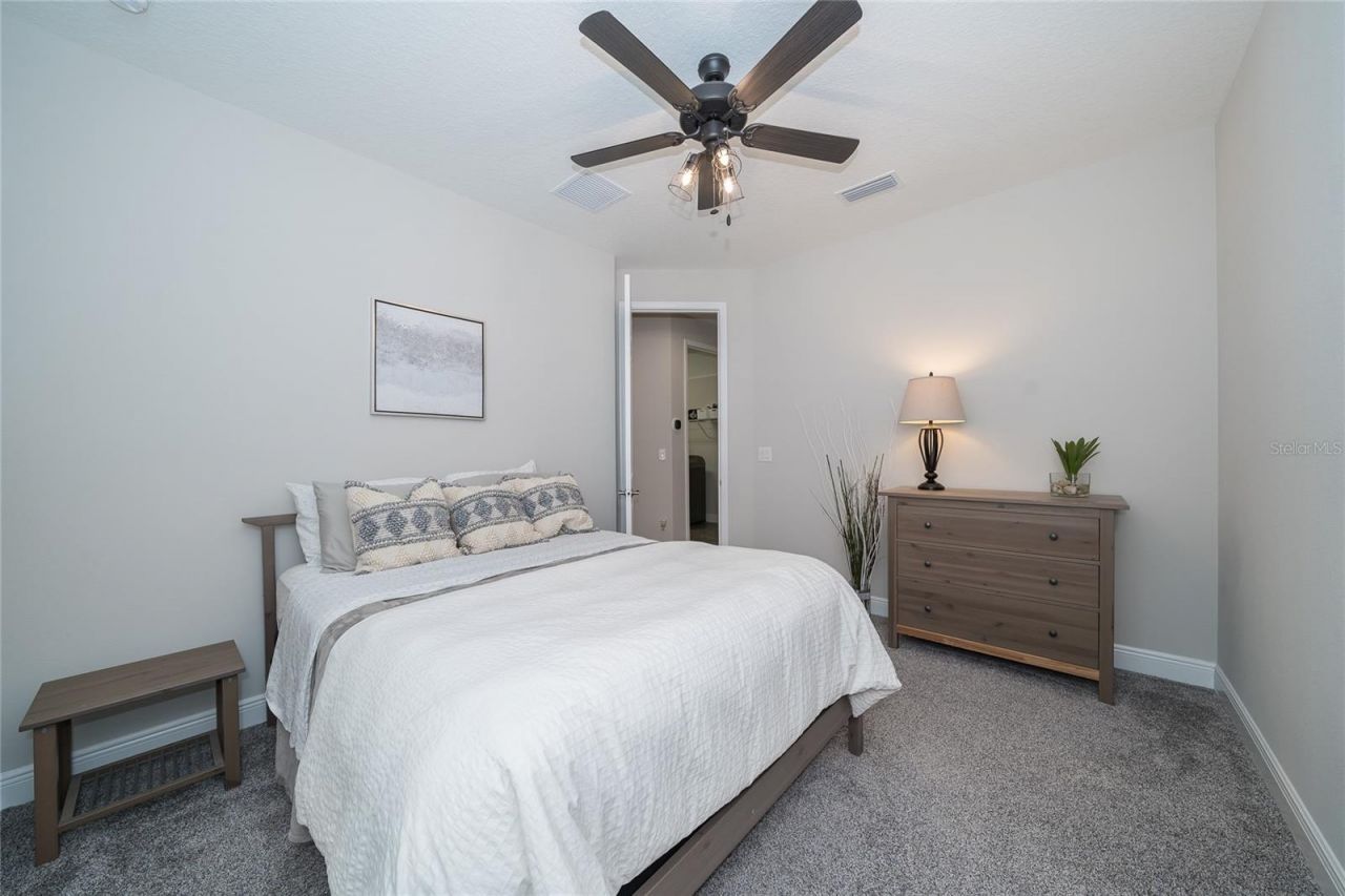8687 Birchleaf Court Court , Land O Lakes, FL 34637 Photo