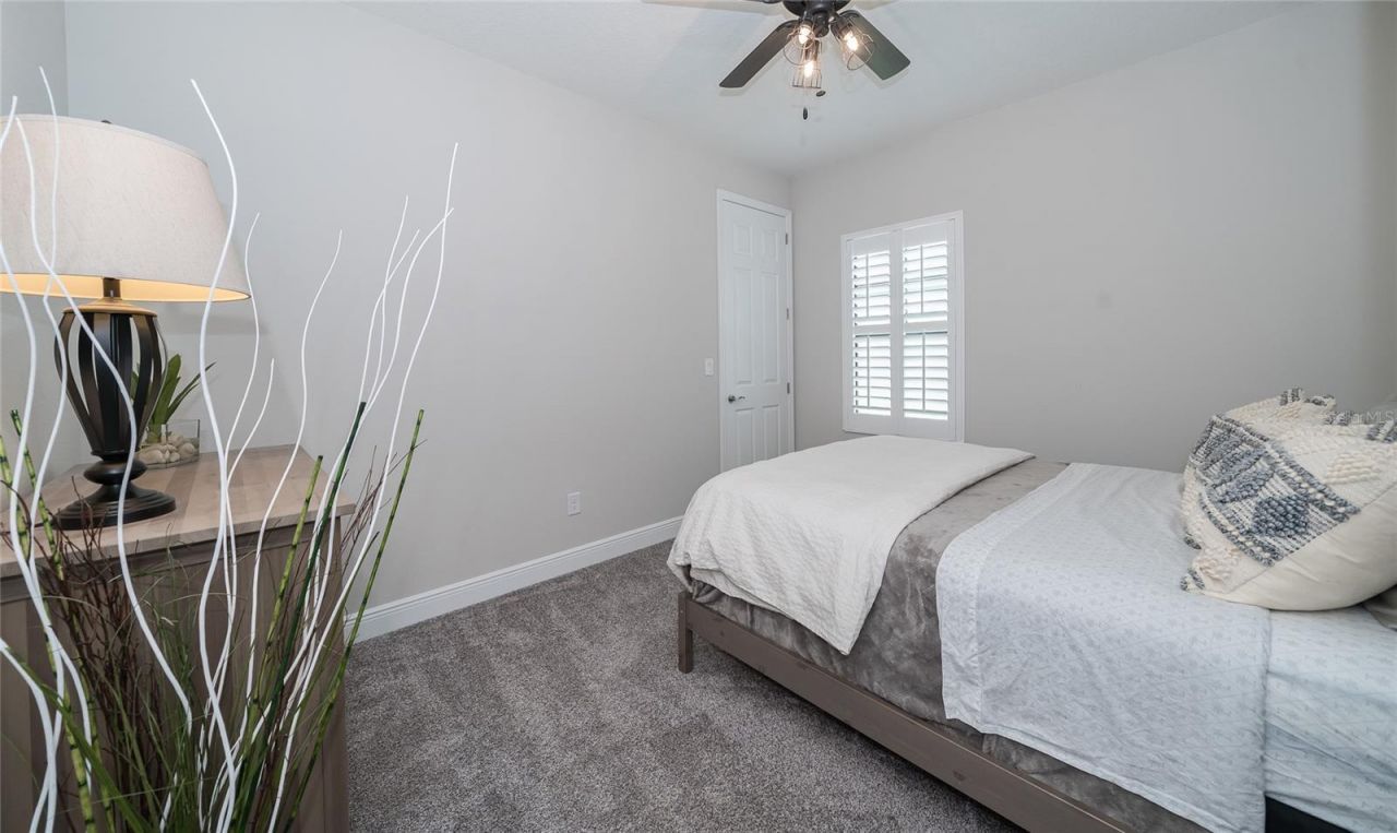 8687 Birchleaf Court Court , Land O Lakes, FL 34637 Photo