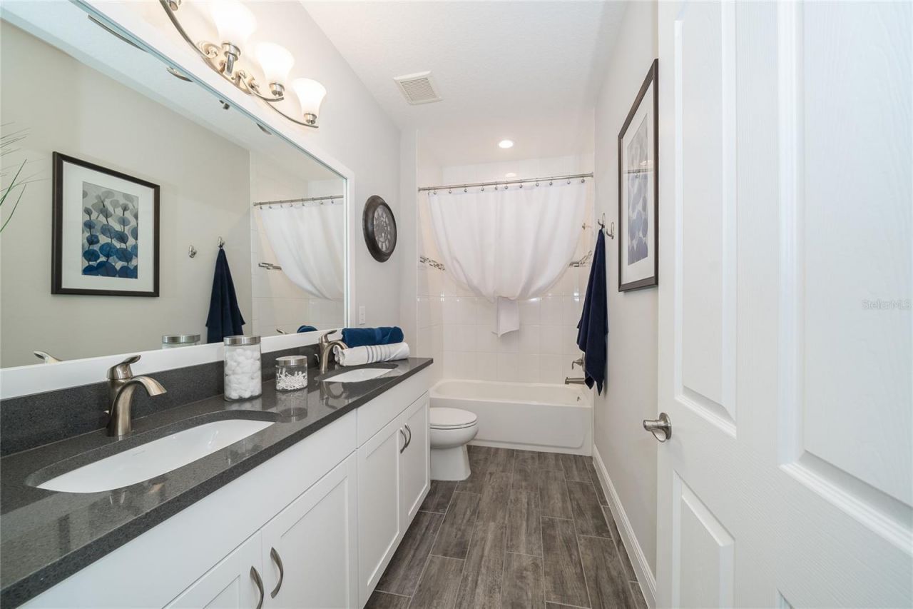 8687 Birchleaf Court Court , Land O Lakes, FL 34637 Photo