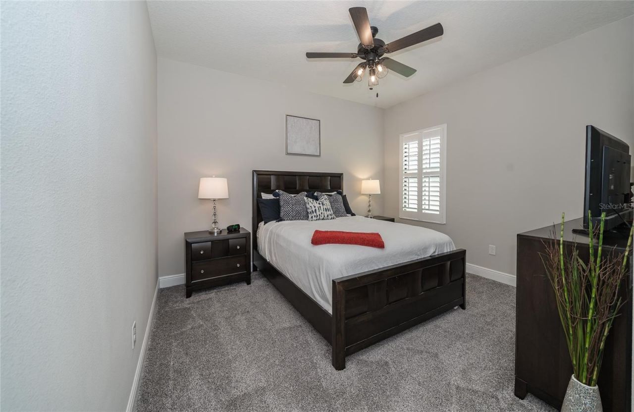8687 Birchleaf Court Court , Land O Lakes, FL 34637 Photo