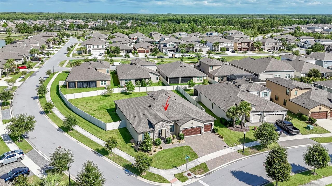 8687 Birchleaf Court Court , Land O Lakes, FL 34637 Photo