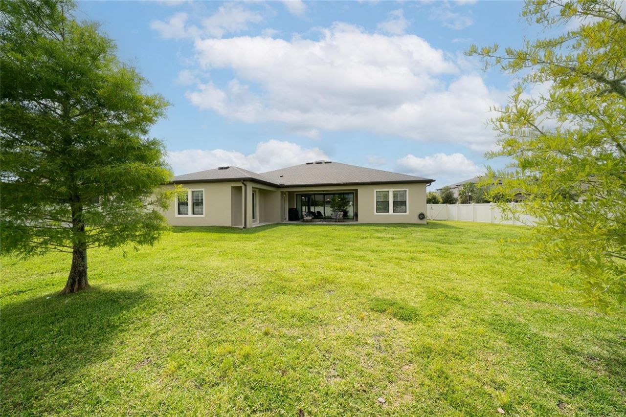 8687 Birchleaf Court Court , Land O Lakes, FL 34637 Photo