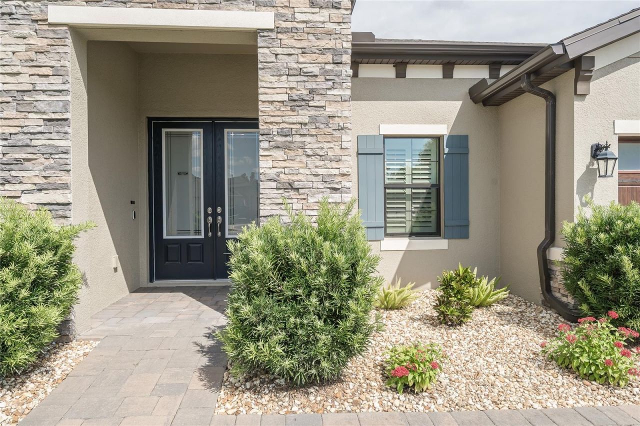8687 Birchleaf Court Court , Land O Lakes, FL 34637 Photo