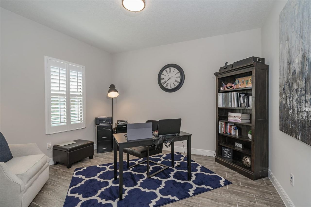 8687 Birchleaf Court Court , Land O Lakes, FL 34637 Photo