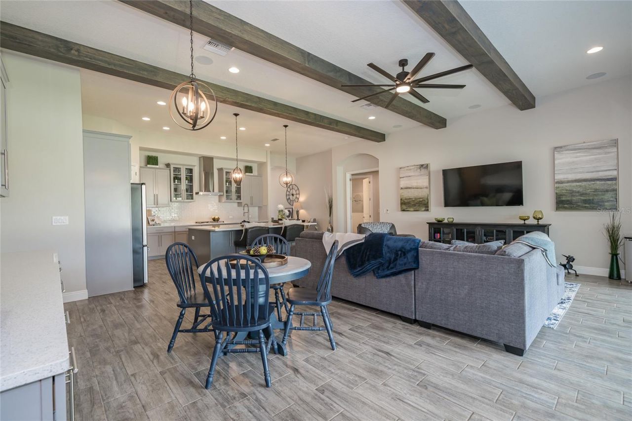 8687 Birchleaf Court Court , Land O Lakes, FL 34637 Photo