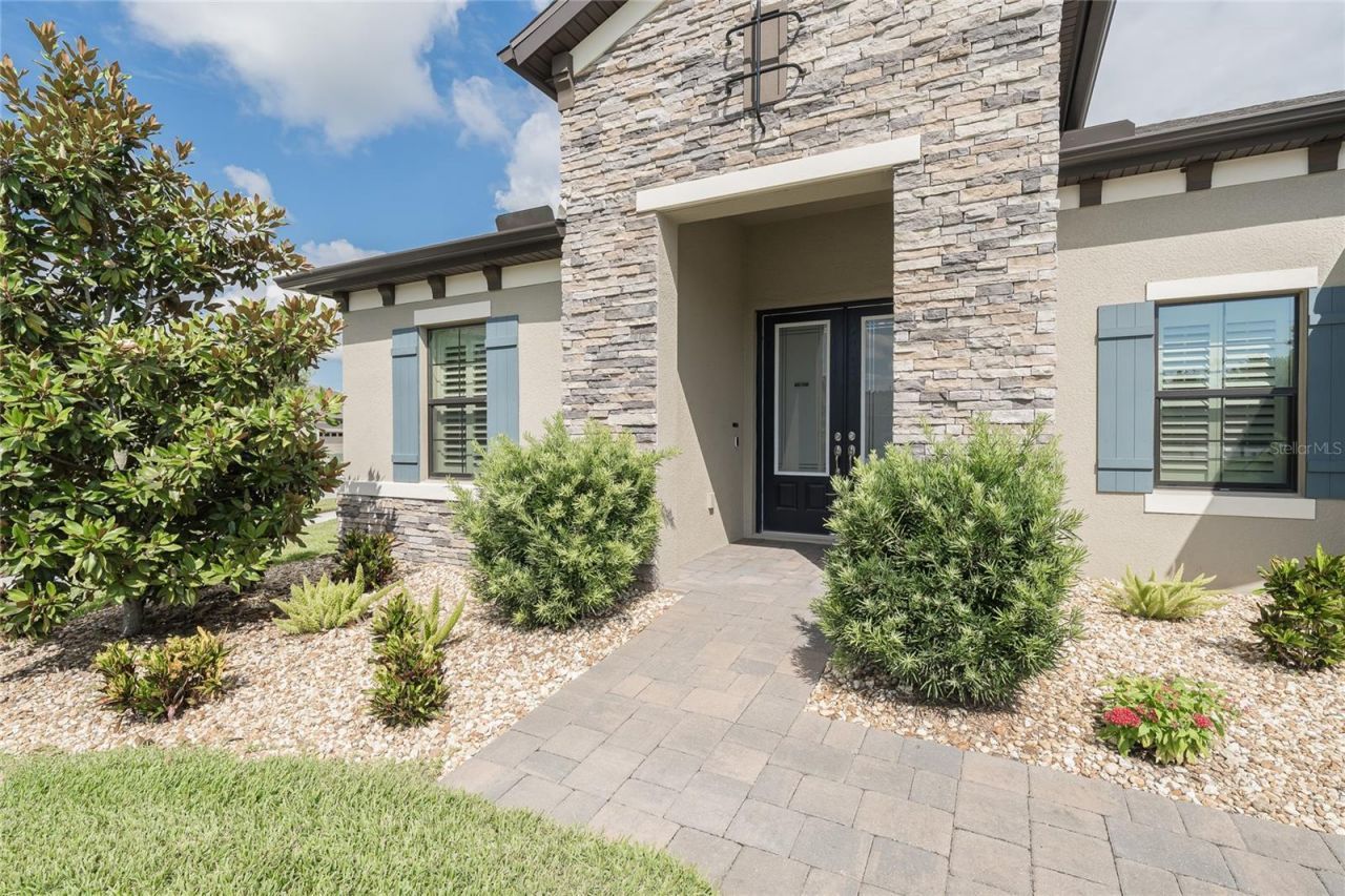 8687 Birchleaf Court Court , Land O Lakes, FL 34637 Photo