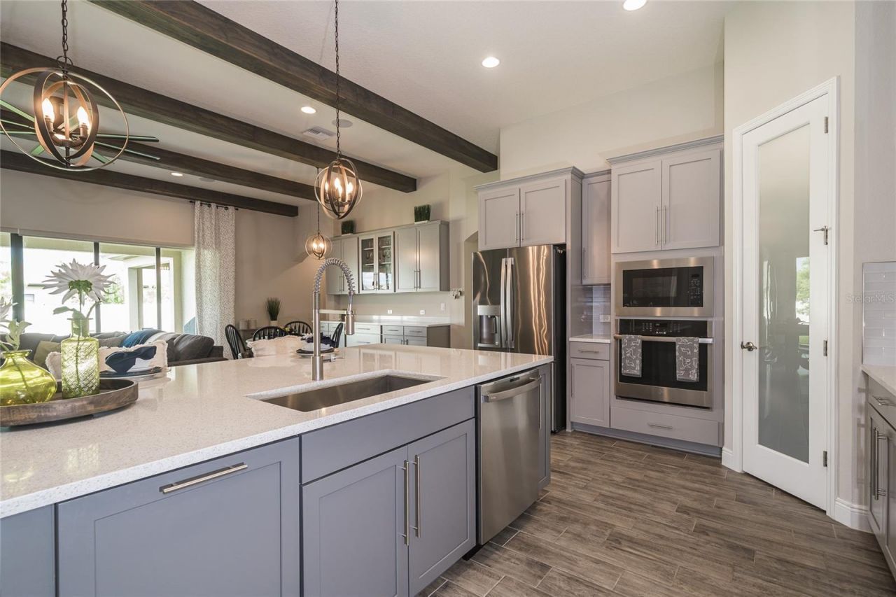 8687 Birchleaf Court Court , Land O Lakes, FL 34637 Photo