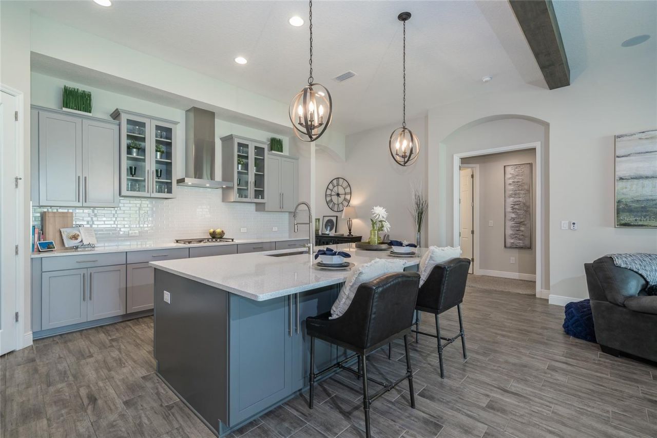 8687 Birchleaf Court Court , Land O Lakes, FL 34637 Photo