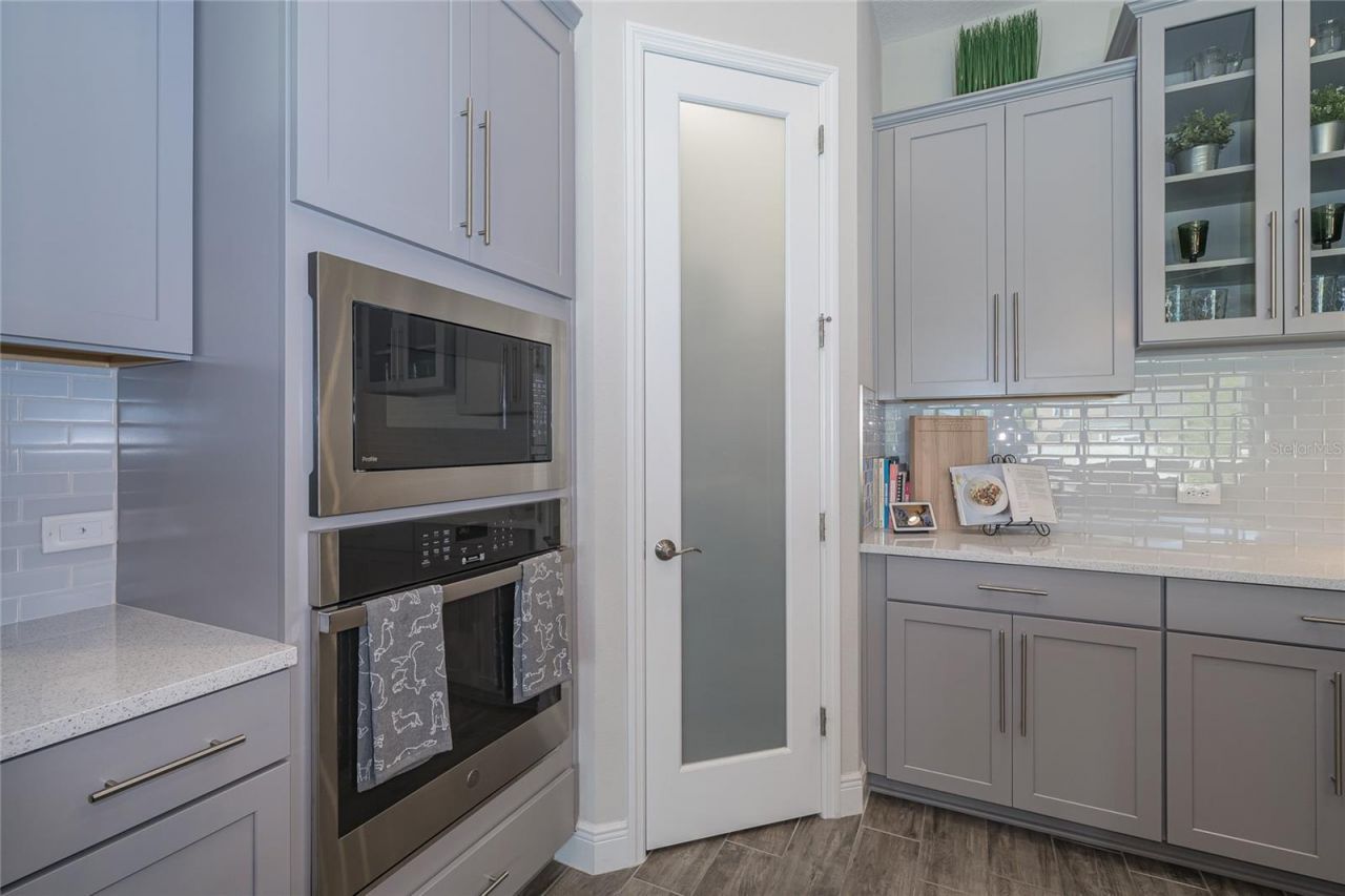 8687 Birchleaf Court Court , Land O Lakes, FL 34637 Photo