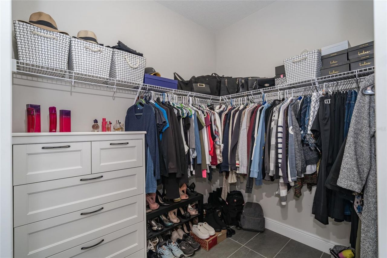 8687 Birchleaf Court Court , Land O Lakes, FL 34637 Photo