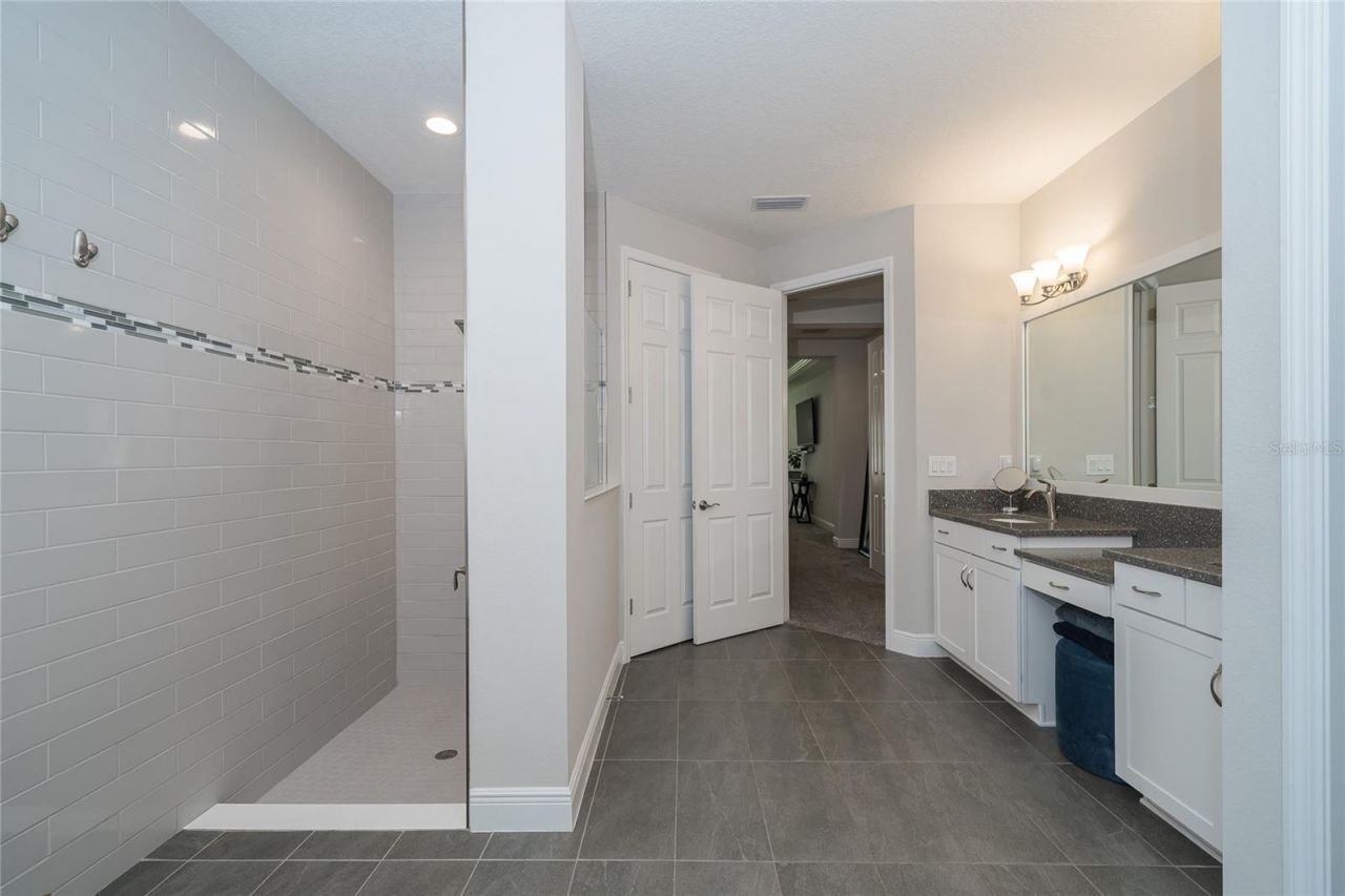 8687 Birchleaf Court Court , Land O Lakes, FL 34637 Photo