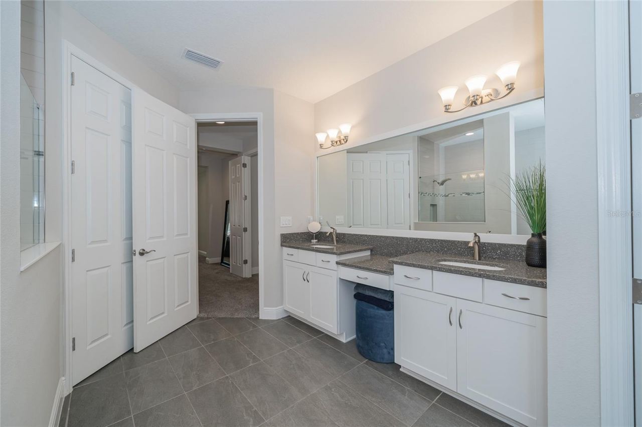 8687 Birchleaf Court Court , Land O Lakes, FL 34637 Photo
