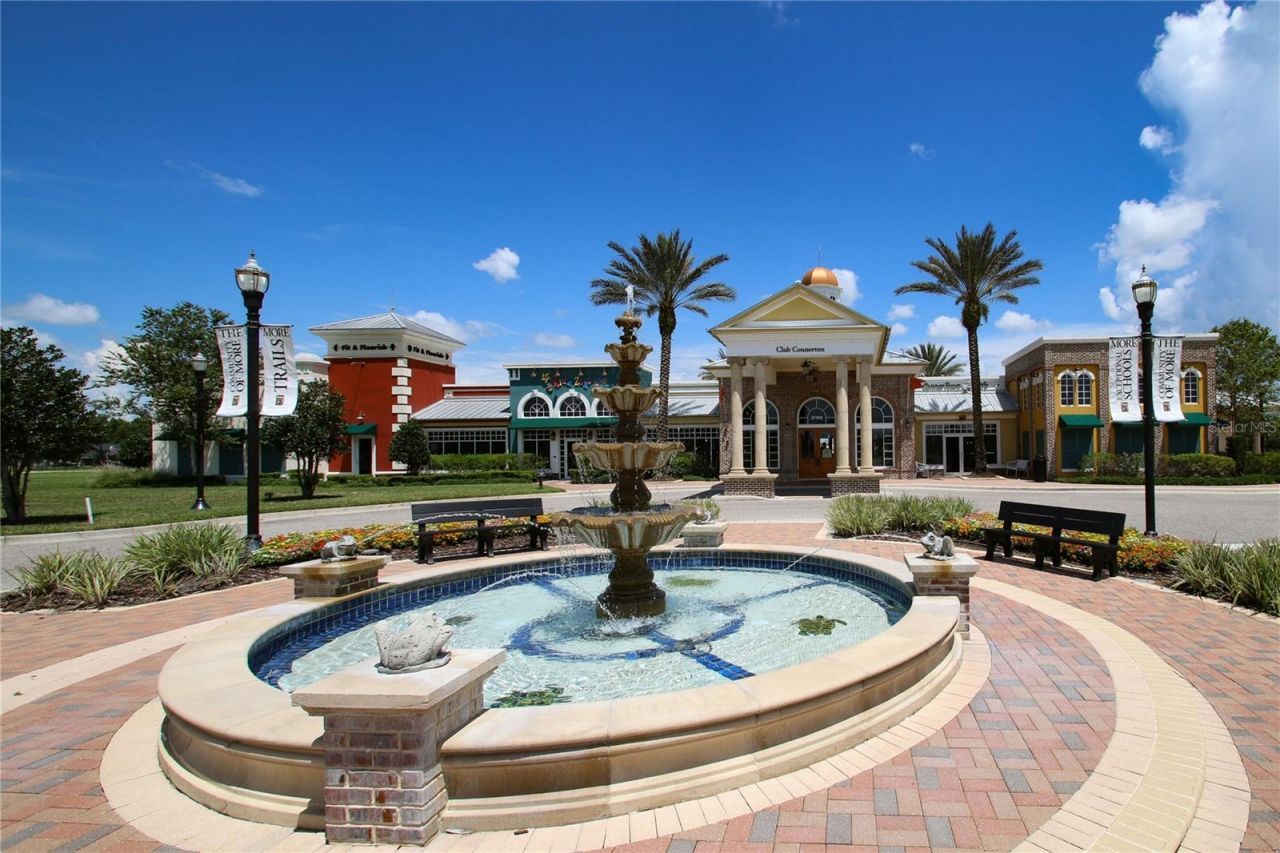 8687 Birchleaf Court Court , Land O Lakes, FL 34637 Photo