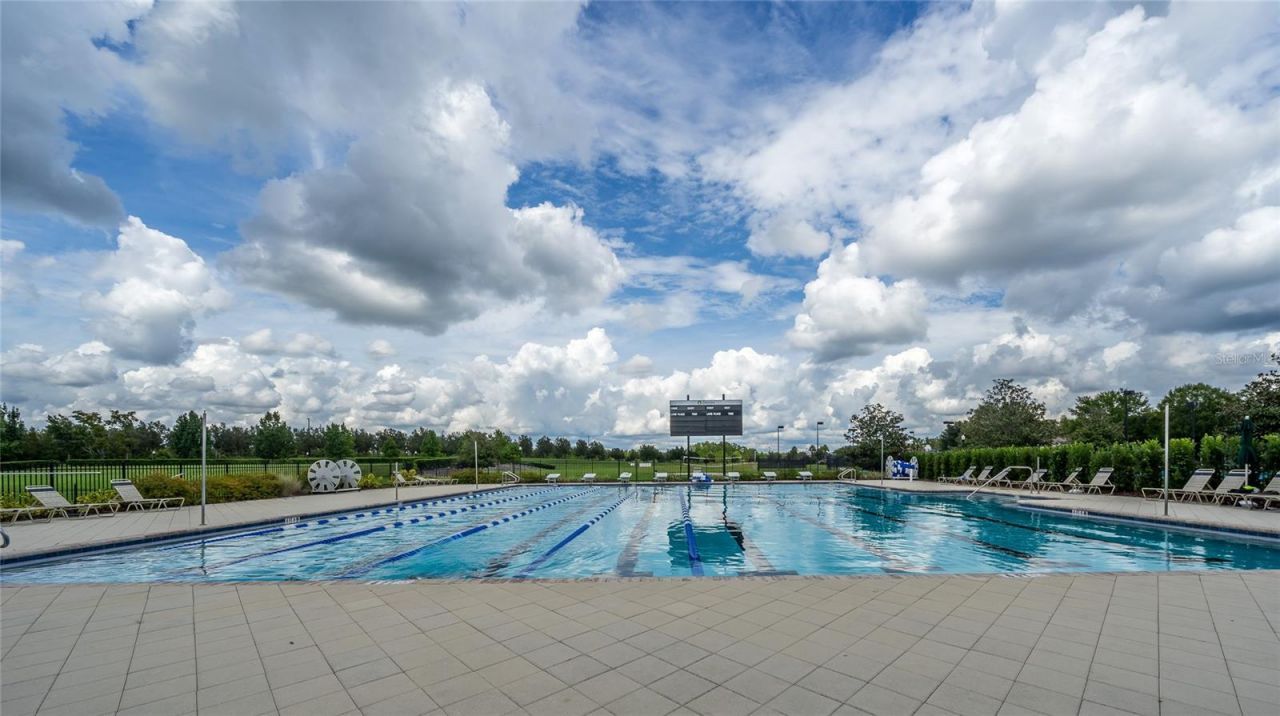 8687 Birchleaf Court Court , Land O Lakes, FL 34637 Photo