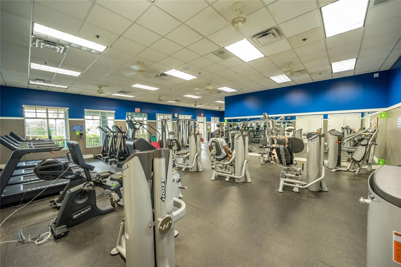8687 Birchleaf Court Court , Land O Lakes, FL 34637 Photo