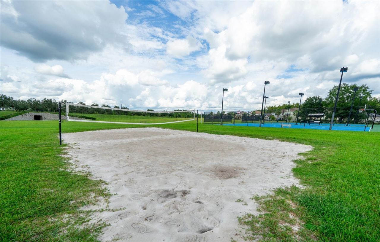 8687 Birchleaf Court Court , Land O Lakes, FL 34637 Photo