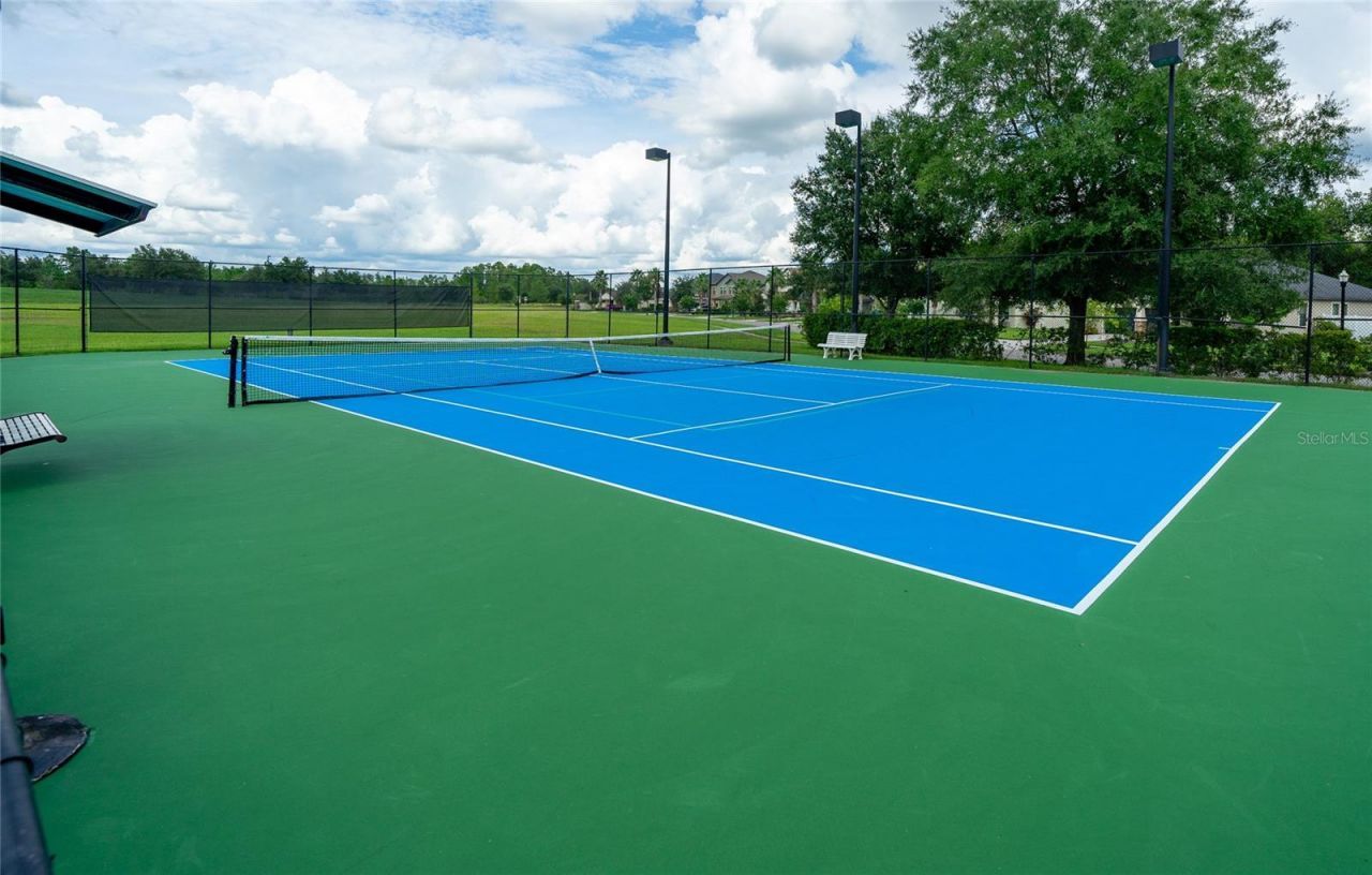 8687 Birchleaf Court Court , Land O Lakes, FL 34637 Photo
