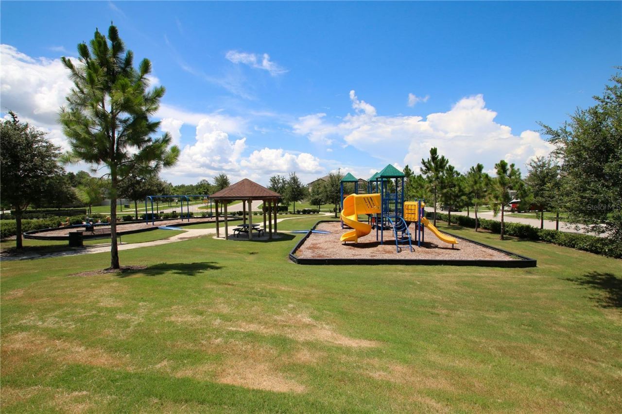 8687 Birchleaf Court Court , Land O Lakes, FL 34637 Photo