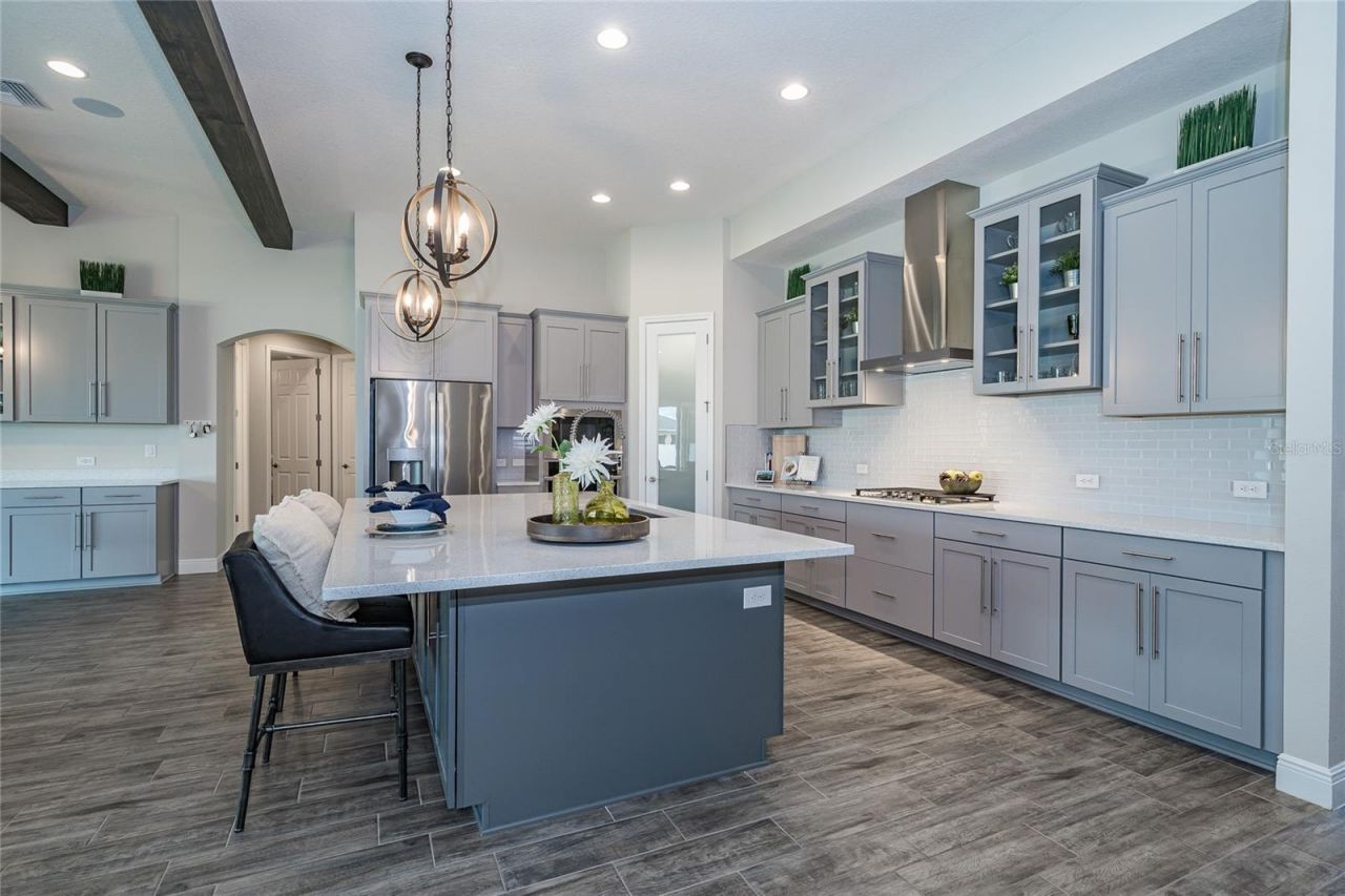 8687 Birchleaf Court Court , Land O Lakes, FL 34637 Photo