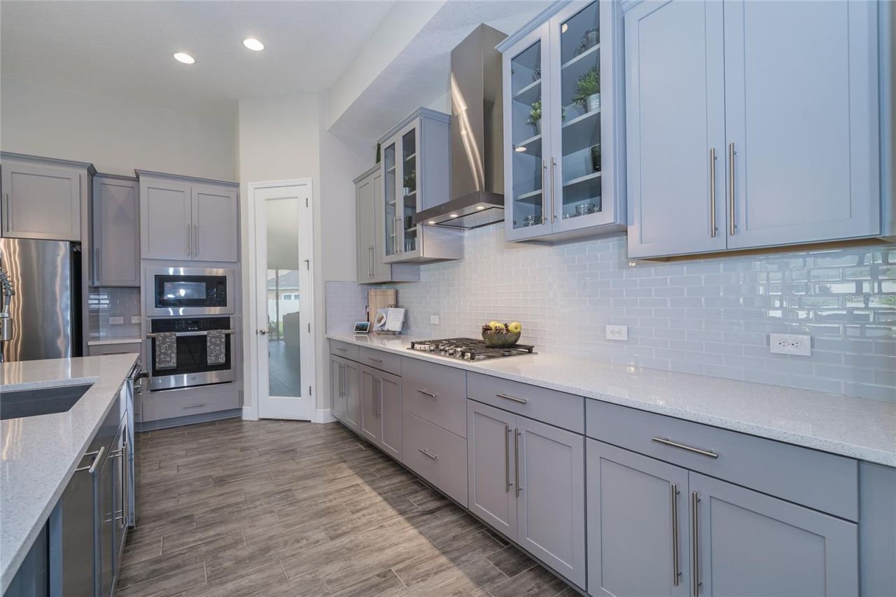 8687 Birchleaf Court Court , Land O Lakes, FL 34637 Photo