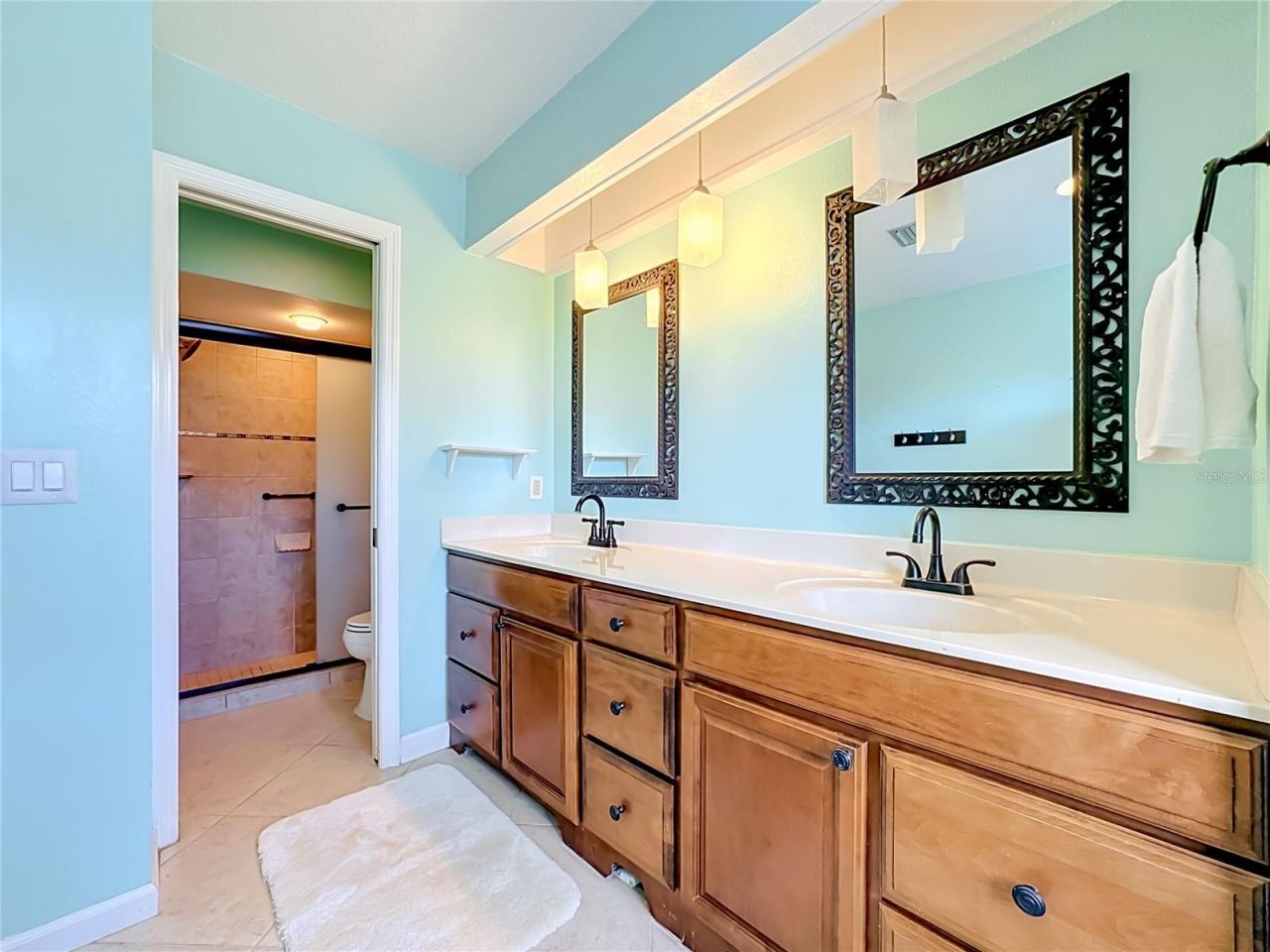 3234 Meadow Run Drive, Venice, FL 34293 Photo