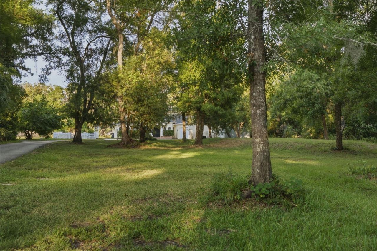 19715 Deer Lake Road, Lutz, FL 33548 Photo