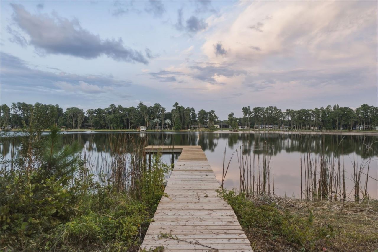 19715 Deer Lake Road, Lutz, FL 33548 Photo