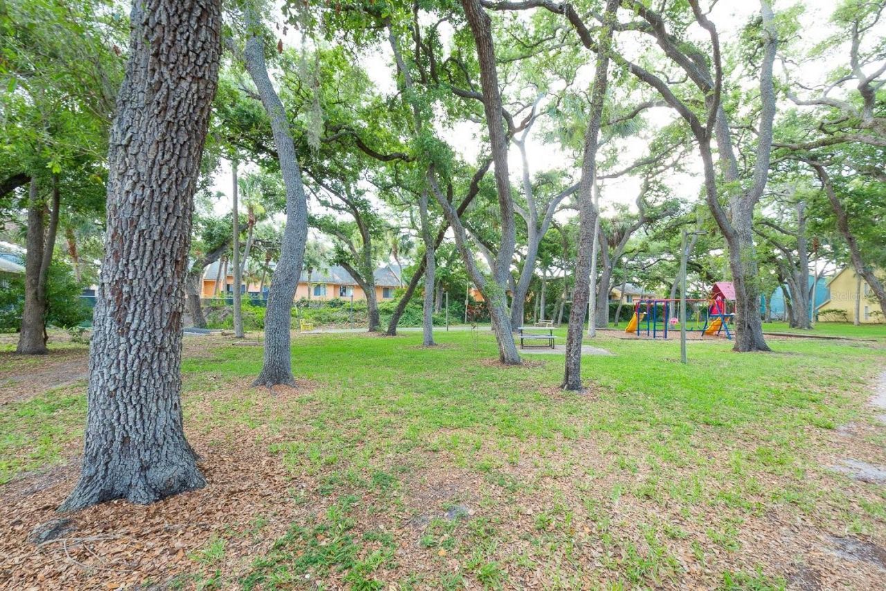 3640 41st Lane S, Unit 72E, Saint Petersburg, FL 33711 Photo