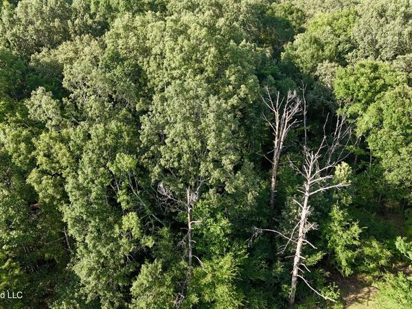 Mcdonald Road, Madison, MS 39110