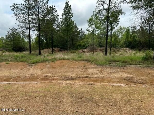  Bent Creek , Picayune, MS 39466