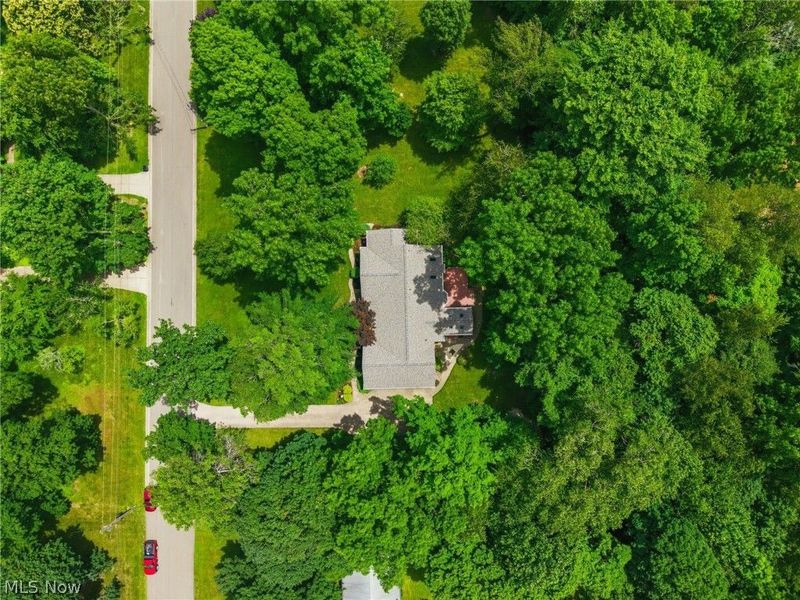 1524 Whittier Street NE, Canton, OH 44721 Photo 50