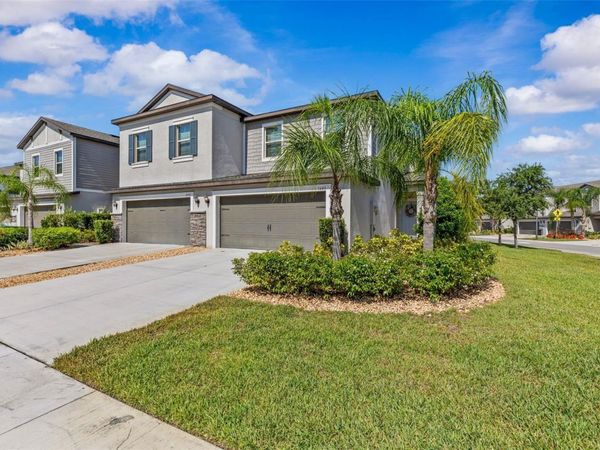1603 ROSEVILLE STREET , LUTZ, FL 33549