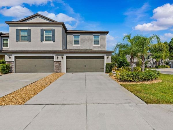 1603 ROSEVILLE STREET, LUTZ, FL 33549
