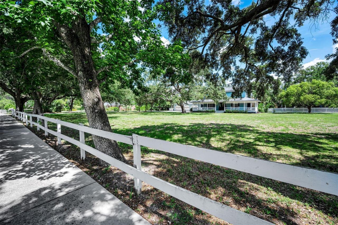 3525 Fairview Street, Safety Harbor, FL 34695 Photo