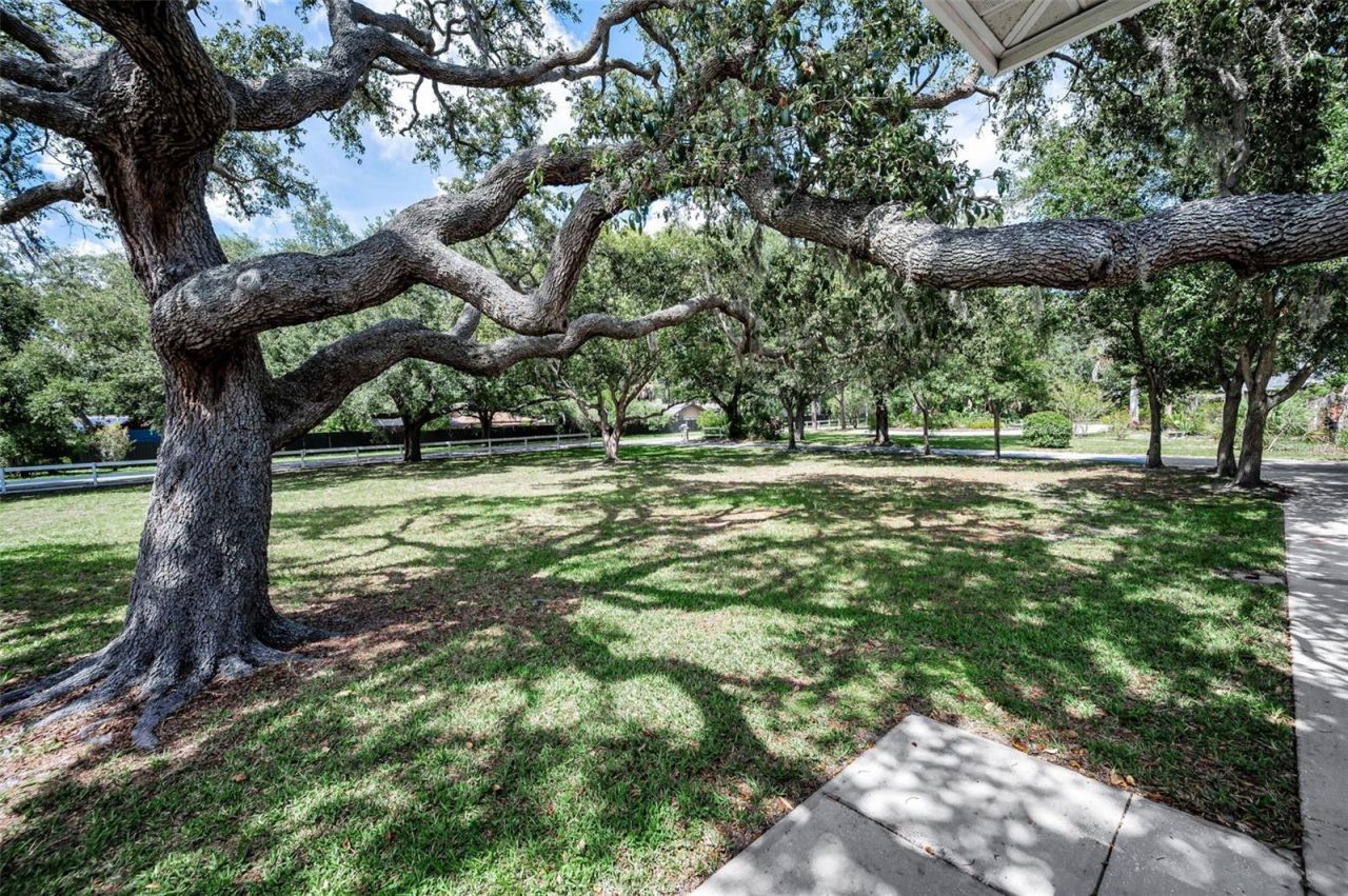 3525 Fairview Street, Safety Harbor, FL 34695 Photo