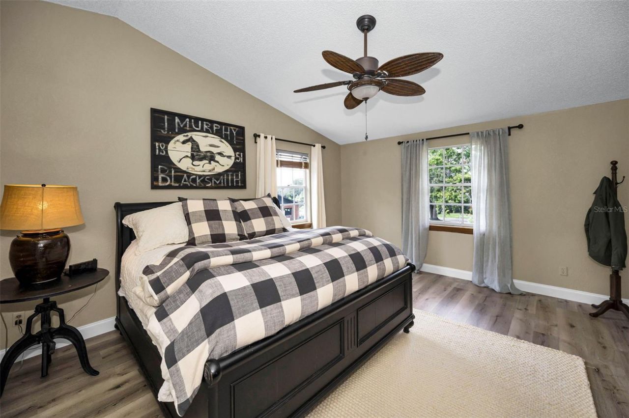 3525 Fairview Street, Safety Harbor, FL 34695 Photo