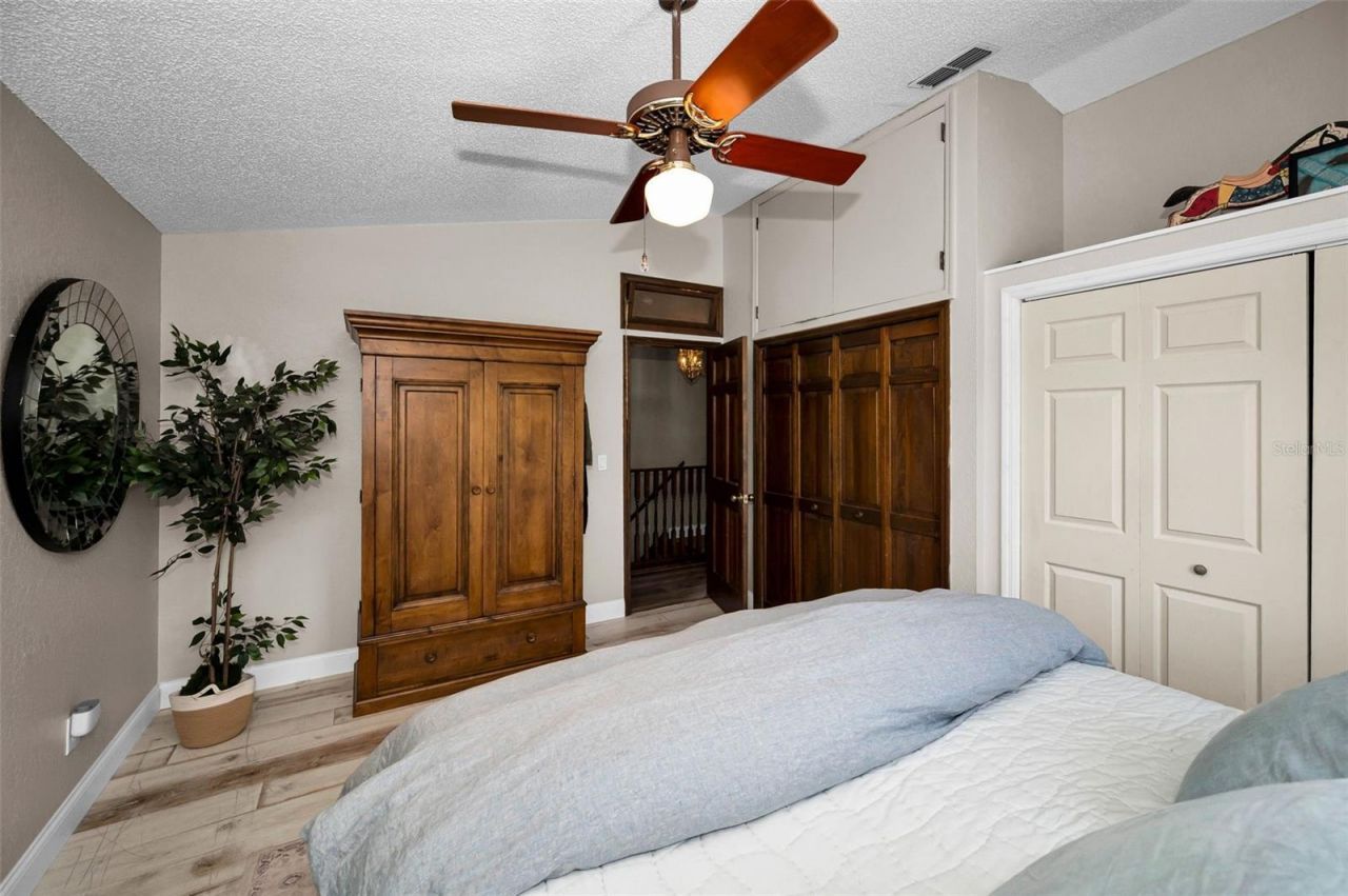 3525 Fairview Street, Safety Harbor, FL 34695 Photo