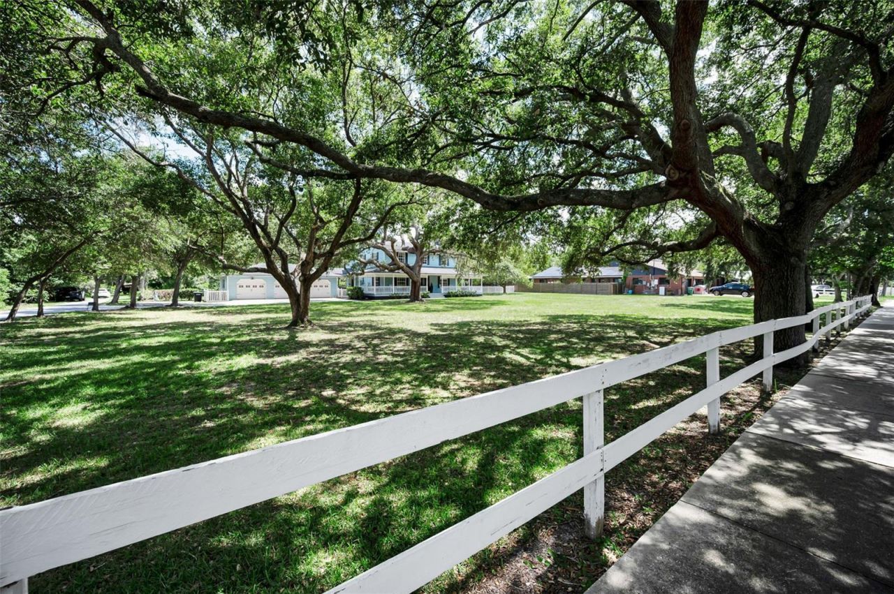 3525 Fairview Street, Safety Harbor, FL 34695 Photo