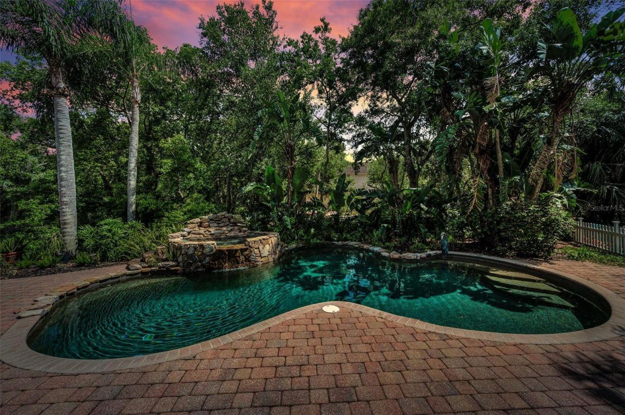 3525 Fairview Street, Safety Harbor, FL 34695 Photo