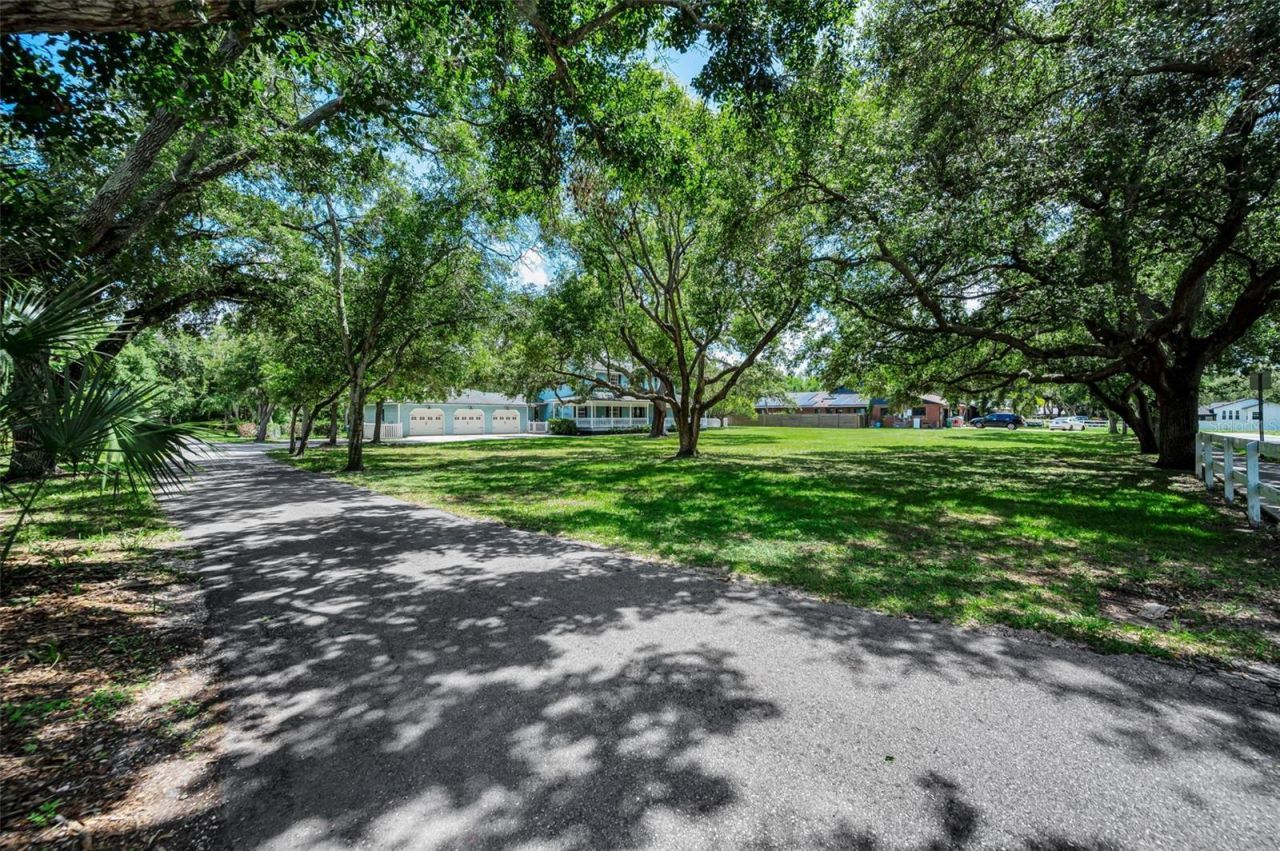 3525 Fairview Street, Safety Harbor, FL 34695 Photo