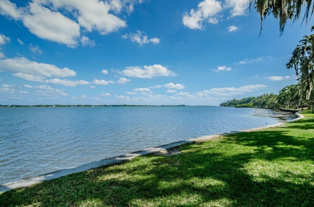 3525 Fairview Street, Safety Harbor, FL 34695 Photo