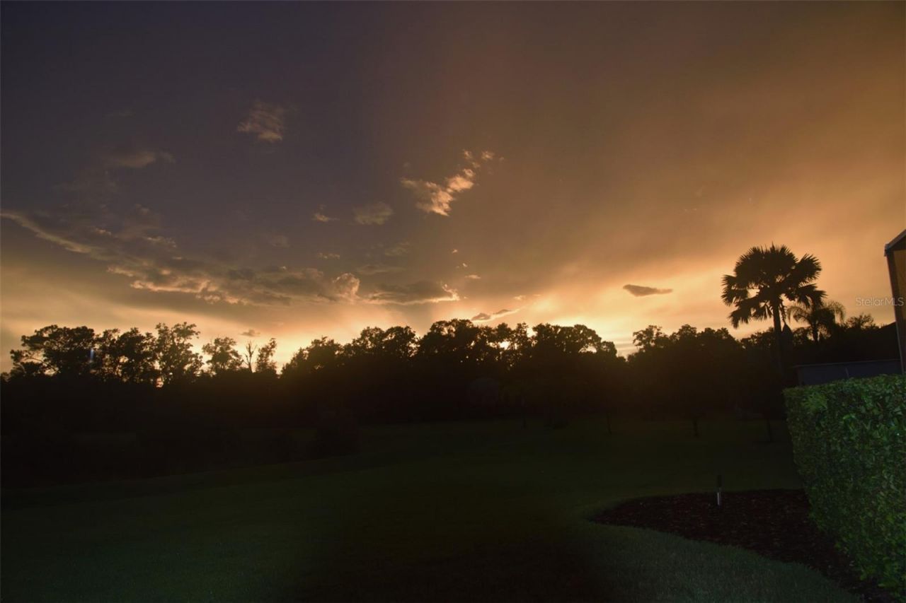 19616 Amazon Basin Bend, Lutz, FL 33559 Photo