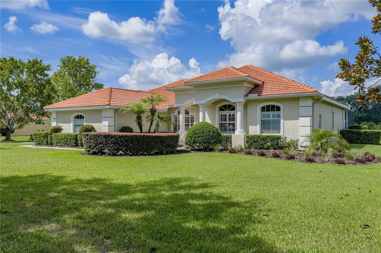 19616 Amazon Basin Bend, Lutz, FL 33559 Photo