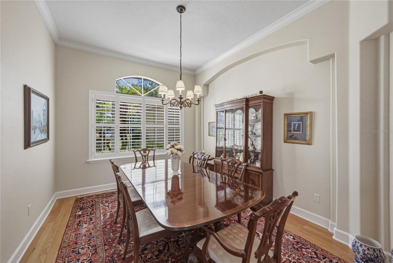 19616 Amazon Basin Bend, Lutz, FL 33559 Photo