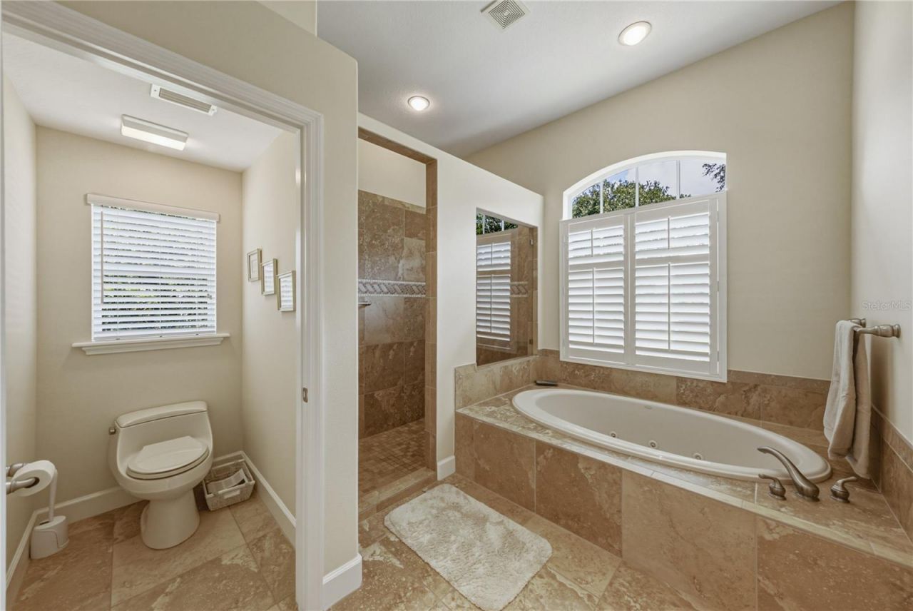 19616 Amazon Basin Bend, Lutz, FL 33559 Photo