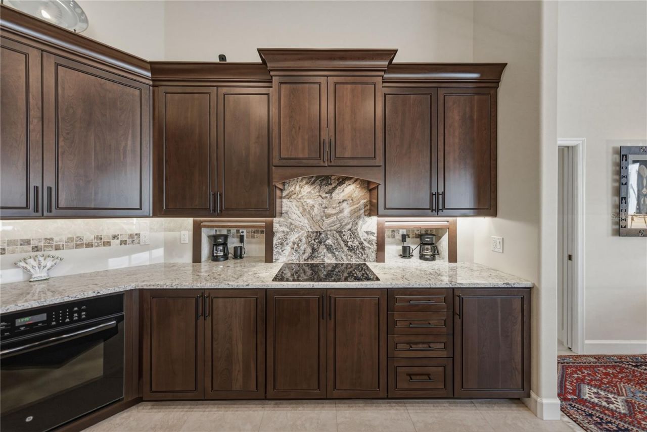 19616 Amazon Basin Bend, Lutz, FL 33559 Photo