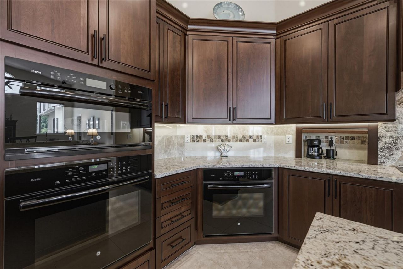 19616 Amazon Basin Bend, Lutz, FL 33559 Photo