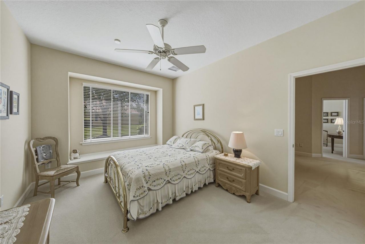 19616 Amazon Basin Bend, Lutz, FL 33559 Photo